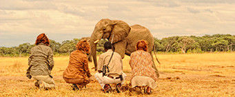 Zimbabwe Safari Walking
