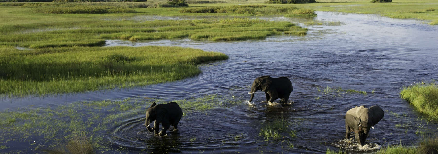 Okavango Delta safaris