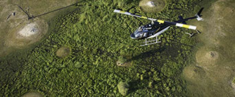 Helicopter Safari