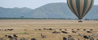 Tanzania Safari Migration