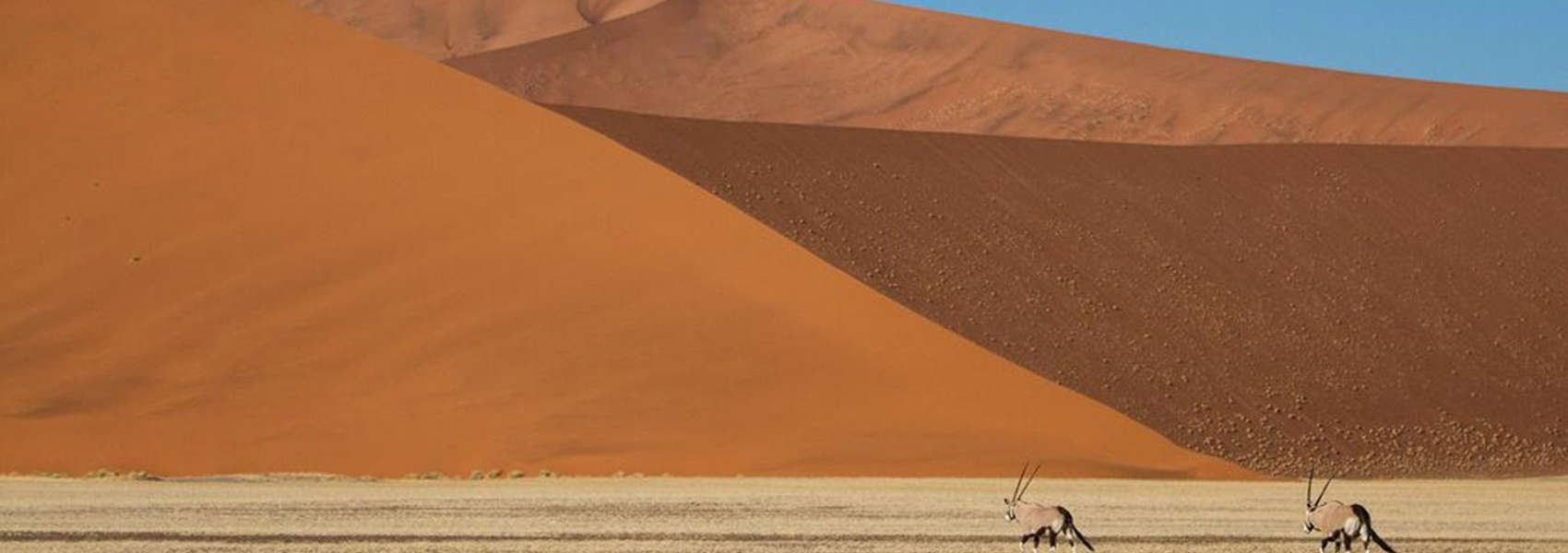 African Namibia Safari desert