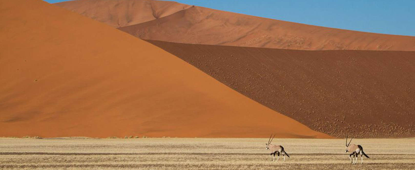 African Namibia Safari desert