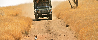 African Group Safari Tours Driving