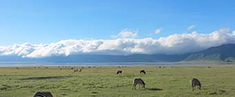 Tanzania Safari Ngorongoro Crater