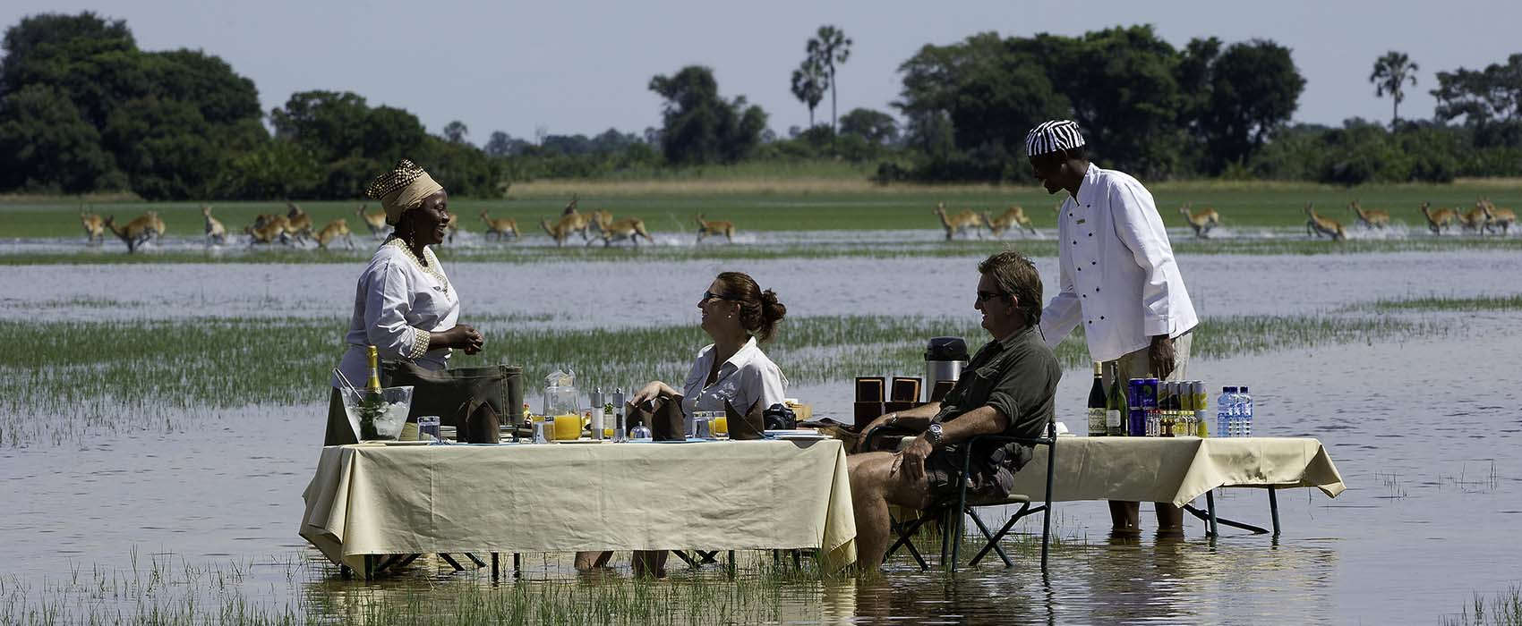 african safaris for special occassions