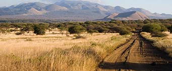 Kenya Safari Tsavo