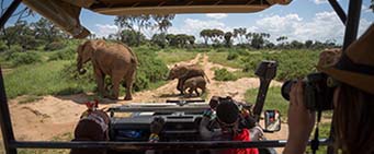 4x4 African Safari Kenya
