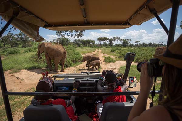 4x4 safaris in africa