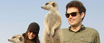 See Meerkats Africa Safaris