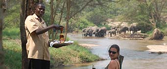 Uganda Safari Ishasha Wilderness Camp