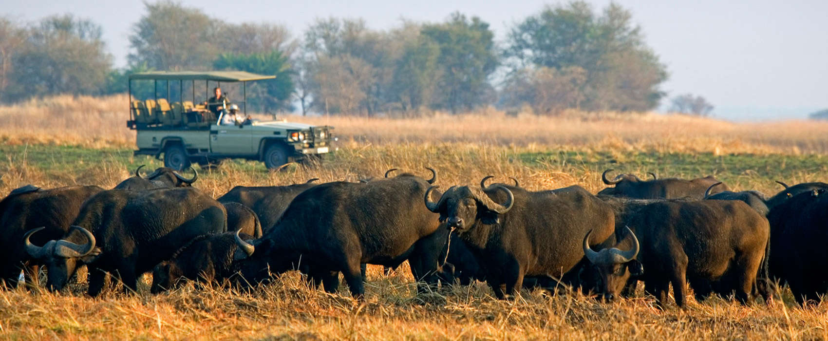 African Zambia Safari 4x4