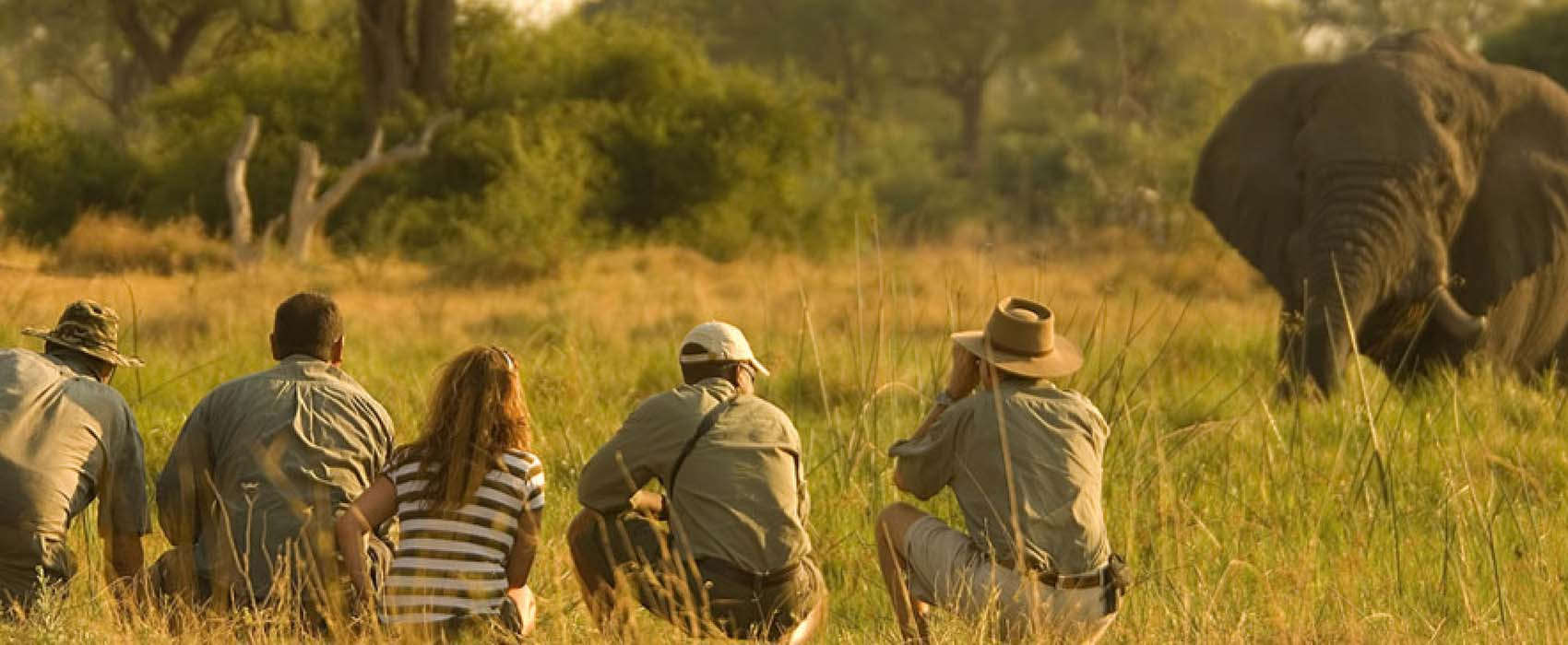 special and exclusive african safaris