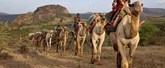 Kenya Safari Camelback Trek