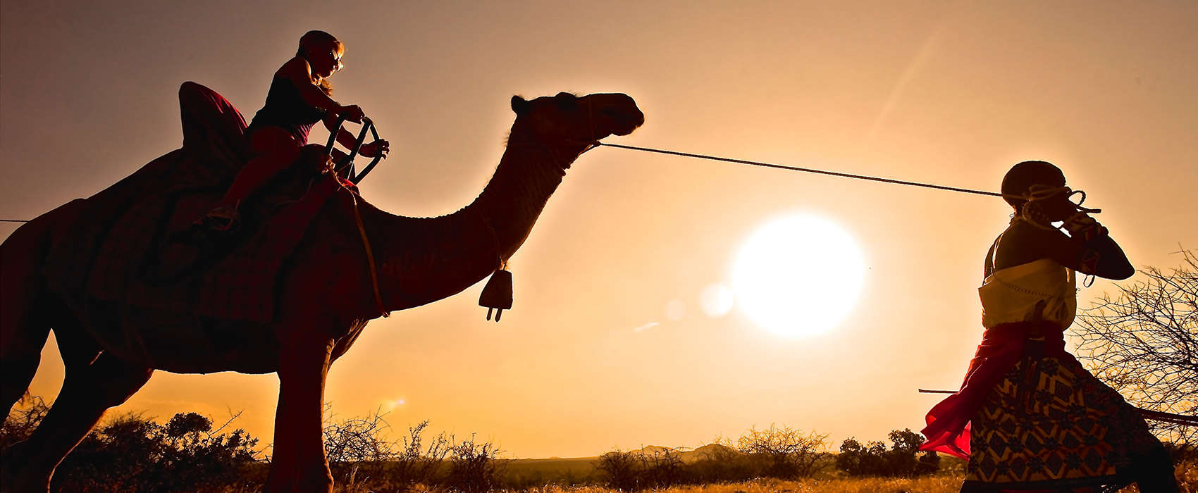 African Kenya Safari camel
