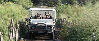 africa 4x4 safaris