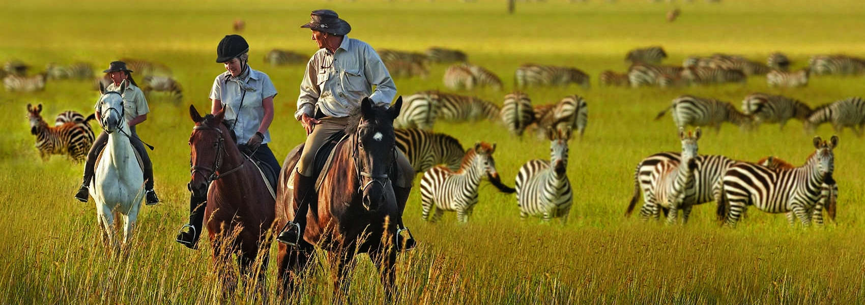 horseriding safaris