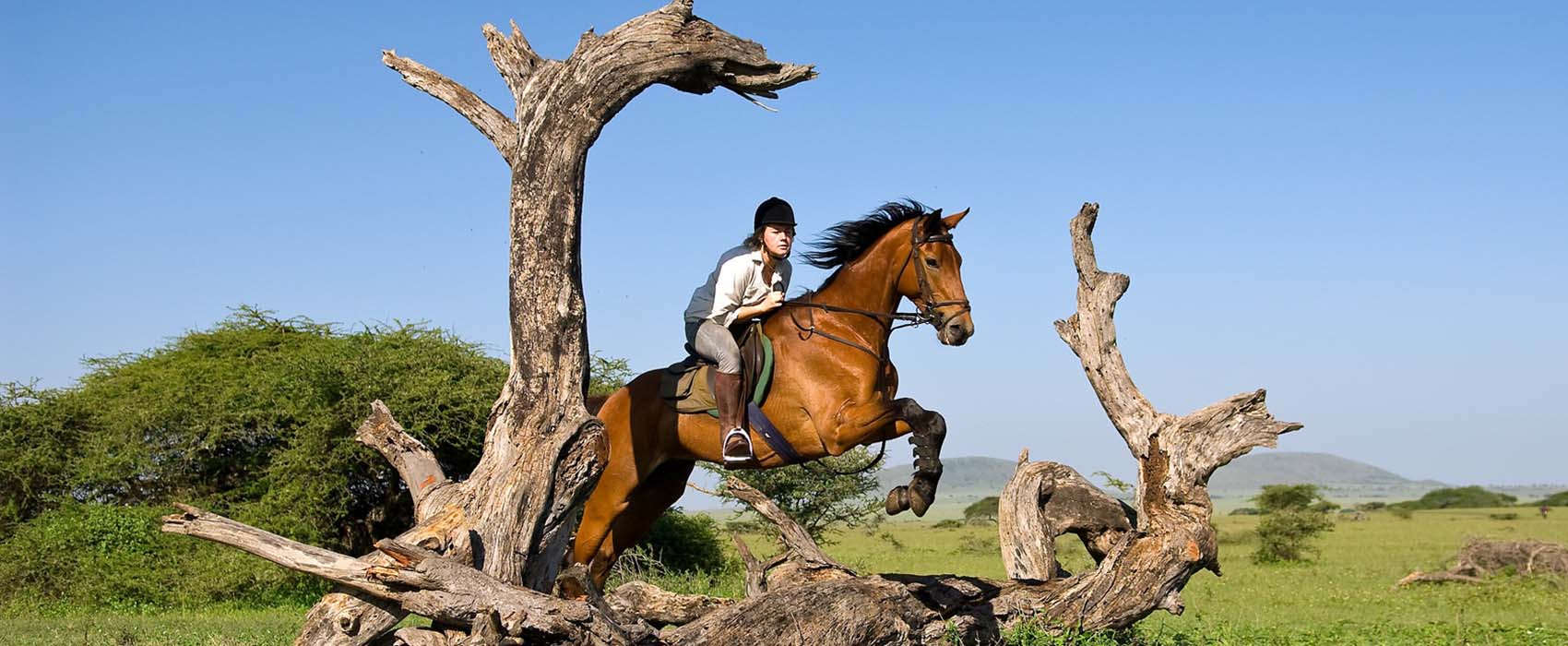 horse riding safaris in africa