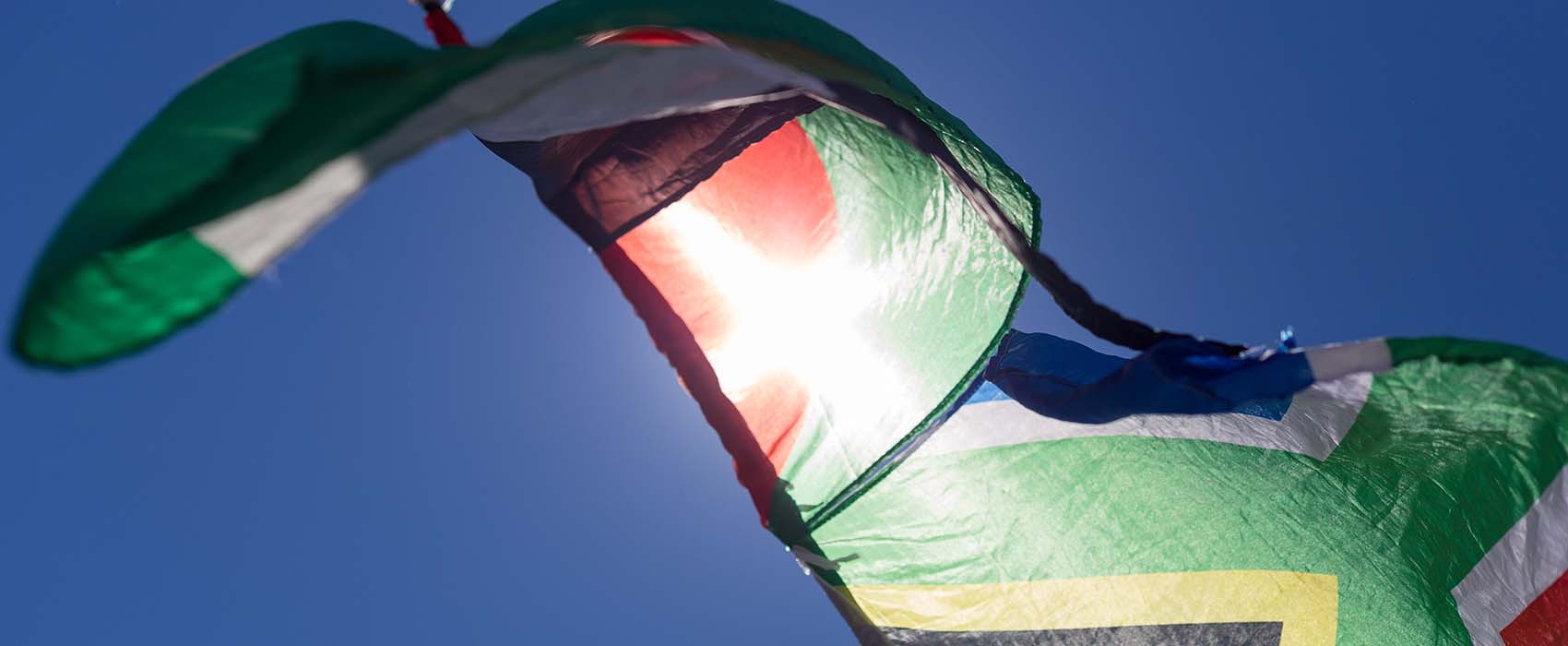 African Cape Town Safari flag