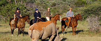 African Horseriding Safari Horseback