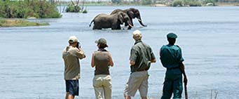 Game Reserve Malawi