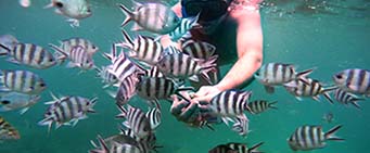 Mauritius Safari Underwater World