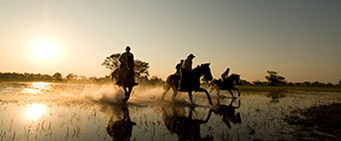 African Horseriding Safari Okavango