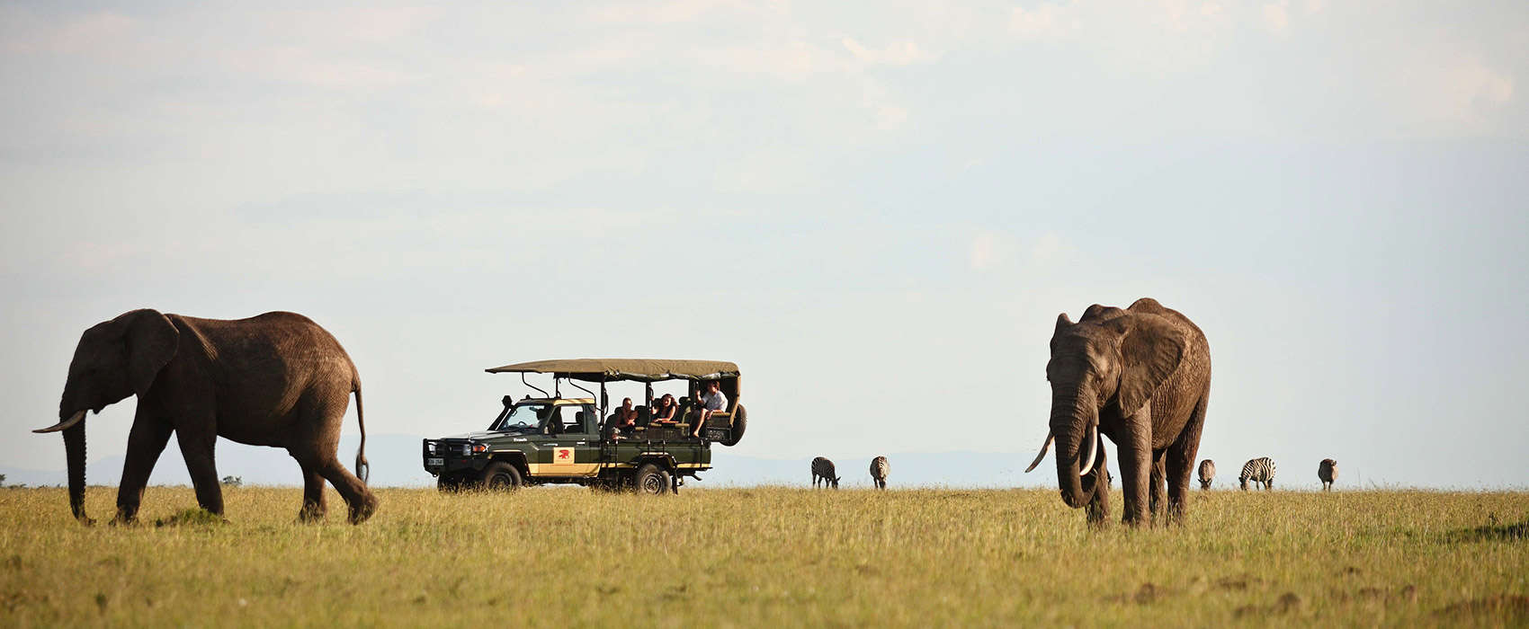 African Masai Mara Safari elephant
