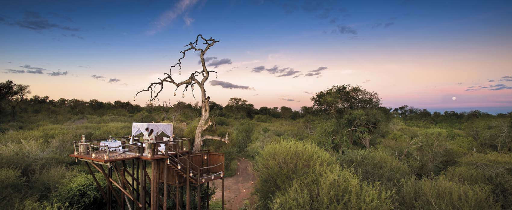 treehouse african safari