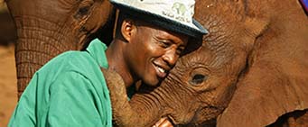 Kenya Safari Sheldrick Wildlife Trust