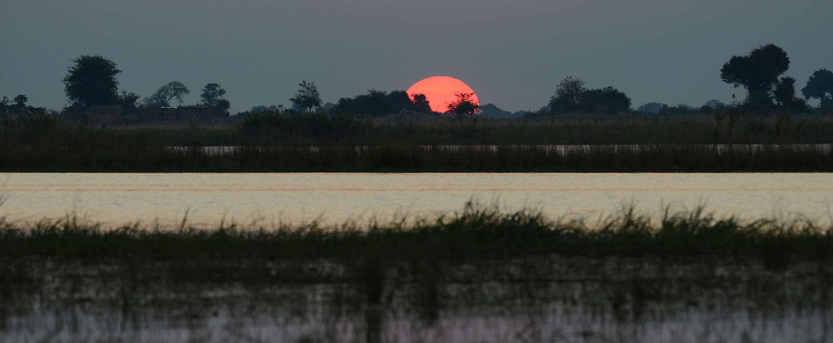 African Chobe National Park & Savute Safari sunset