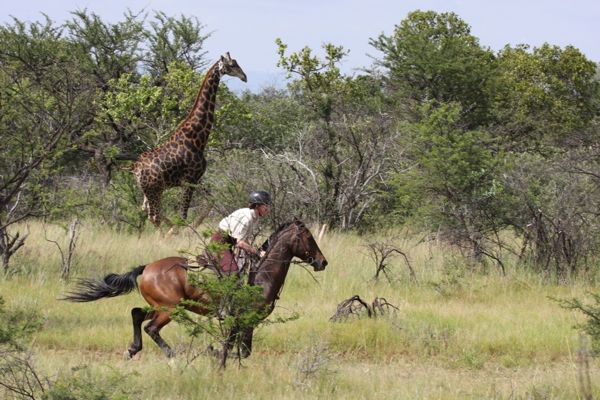 Horseriding Safari South Africa