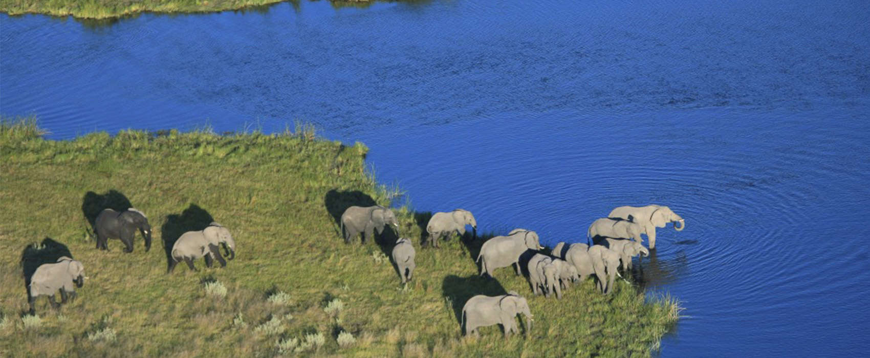 African Chobe National Park & Savute Safari elephants