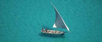 dhow sailing