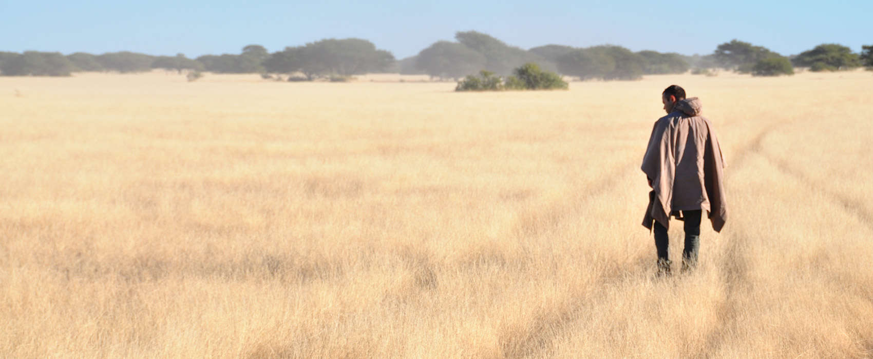 African Makgadikgadian and Nxai Pans Safari grasslands