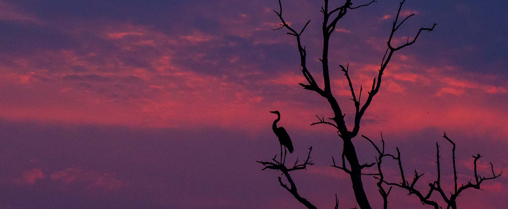 African Okavango Delta Safari sunset