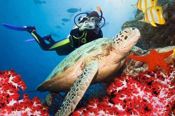 Diving and Snorkelling in Africa