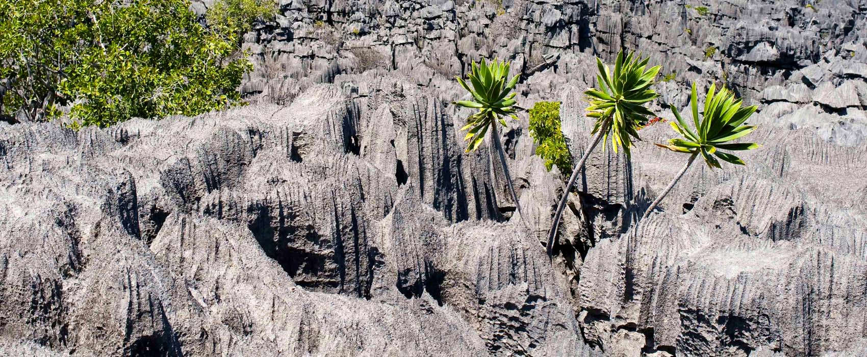 African Madagascar Safari rock formations