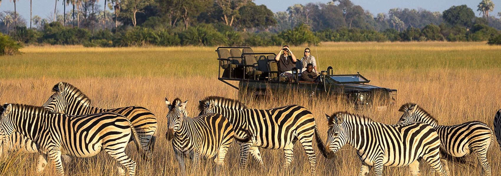 Outstanding Safari holidays