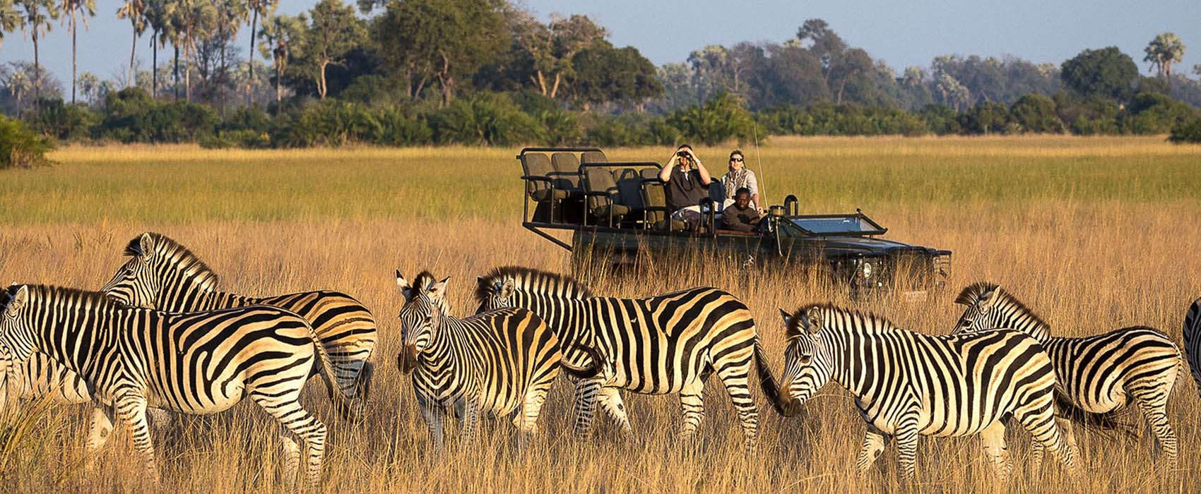 Outstanding Safari holidays
