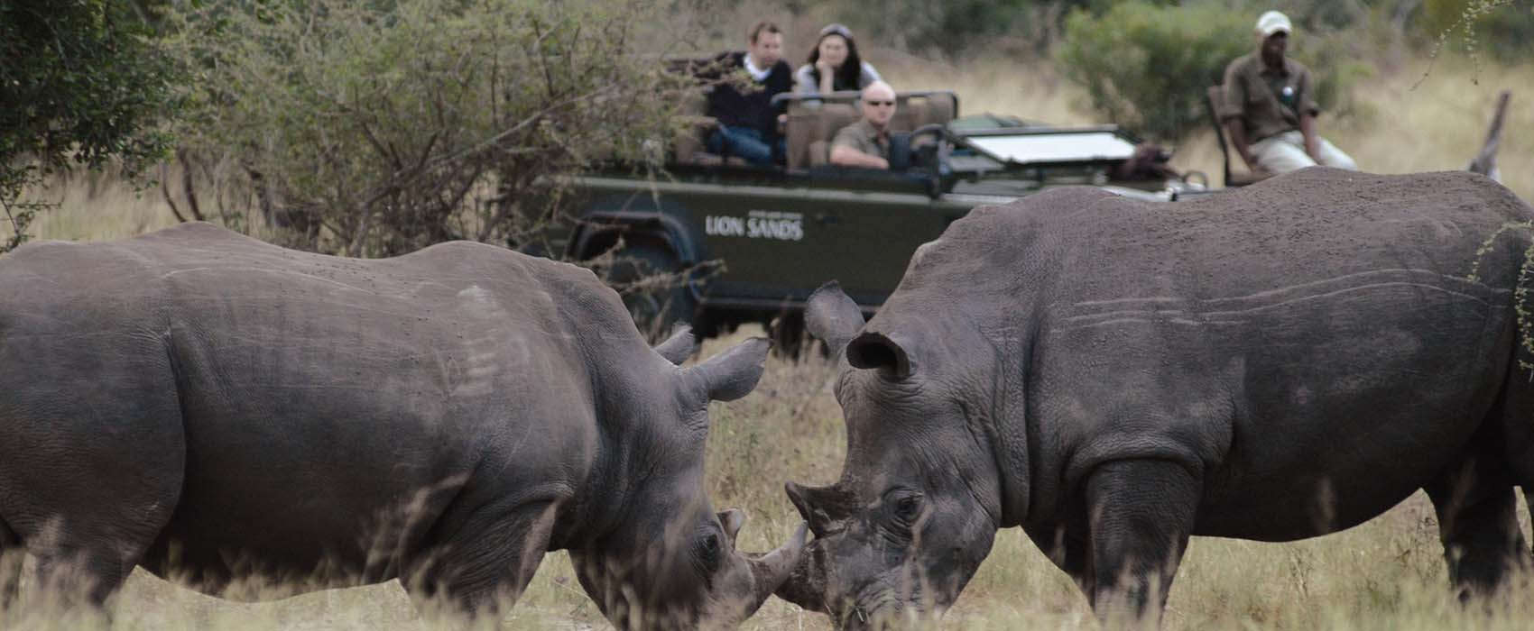 Luxury Africa Safari Holiday