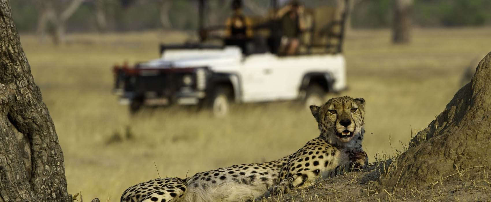 Remarkable Africa safari holidays to Southern Africa