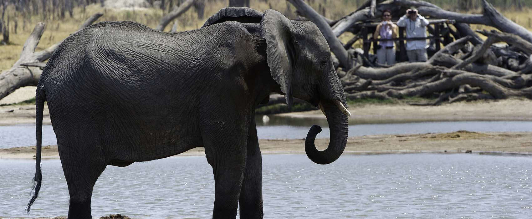Remarkable Africa safari holidays to Zimbabwe