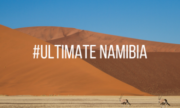 The Ultimate Guide to Ultimate Namibia Safari