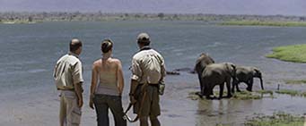Zimbabwe Safari Mana Pools