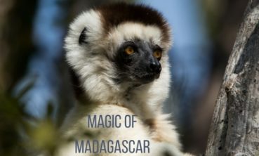 Madagascar Family Safari Holiday