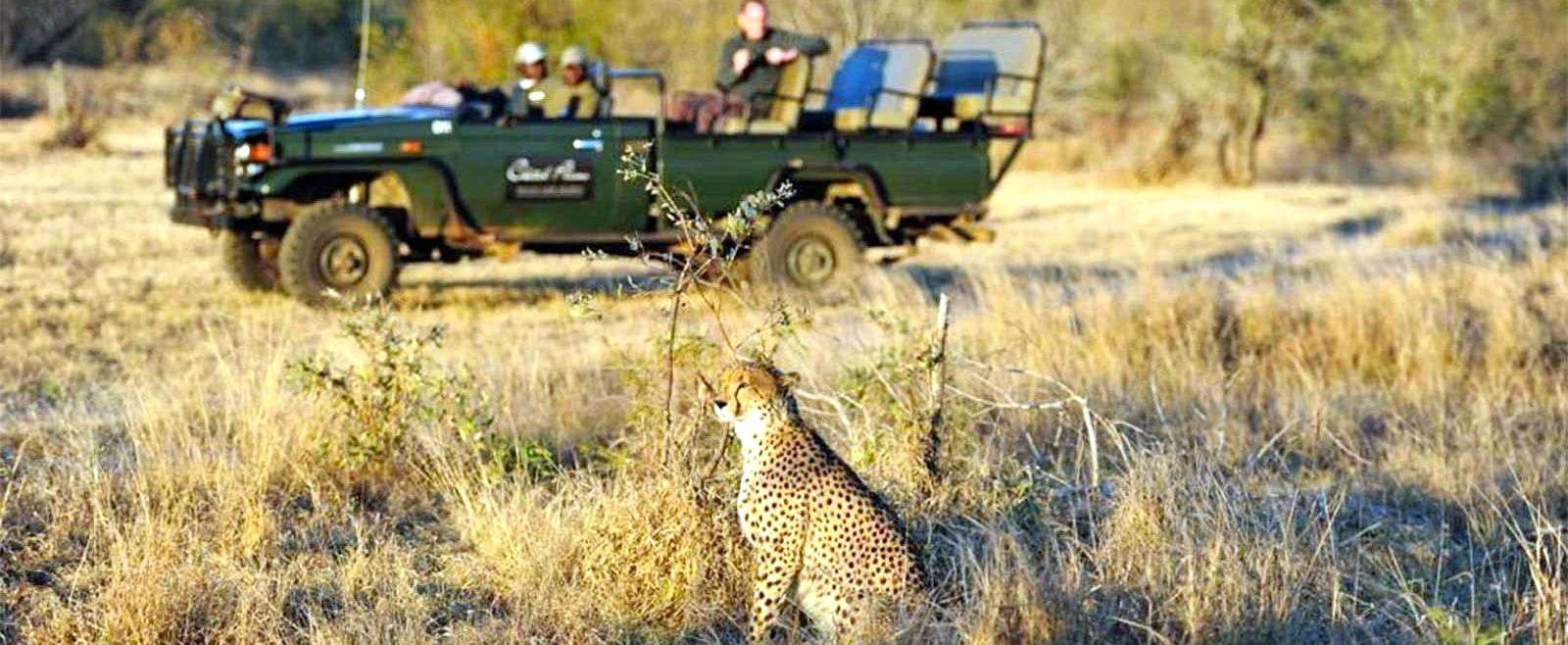 Cheetah Plains Safari holiday South Africa